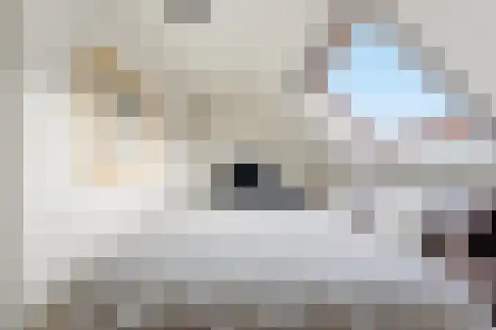 Willem Dreeshof 37 Alblasserdam thumbnail 18