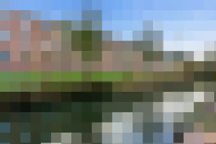 Willem Dreeshof 37 Alblasserdam thumbnail 33