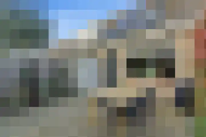 Willem Dreeshof 37 Alblasserdam thumbnail 36