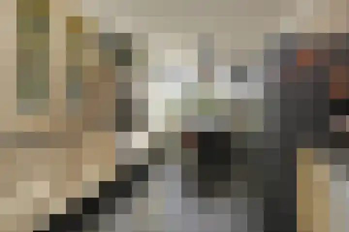 Willem Dreeslaan 10 Delft thumbnail 10