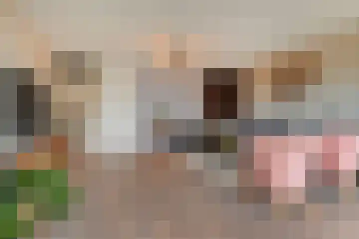 Willem Dreeslaan 10 Delft thumbnail 16