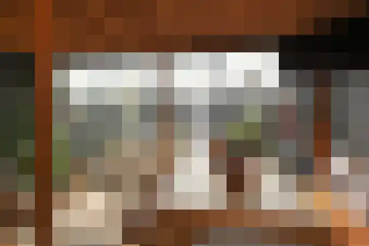 Willem Dreeslaan 10 Delft thumbnail 23