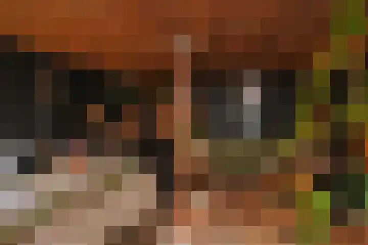 Willem Dreeslaan 10 Delft thumbnail 25
