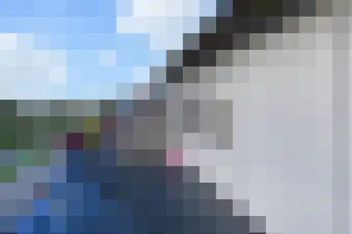 Willem Dreeslaan 10 Delft thumbnail 40