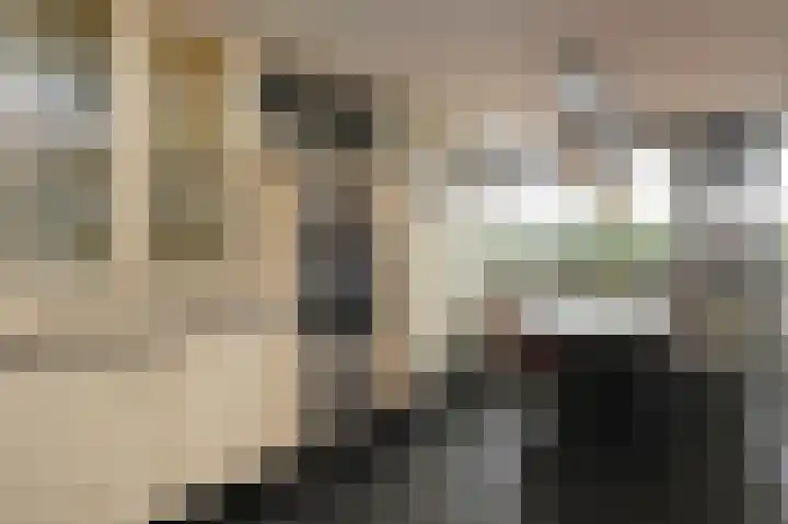 Willem Dreeslaan 10 Delft thumbnail 7