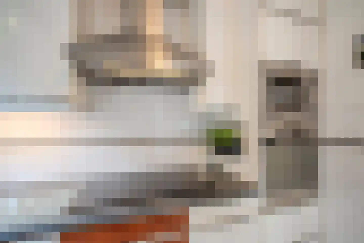 Willem Dreeslaan 101 Oosterhout thumbnail 13