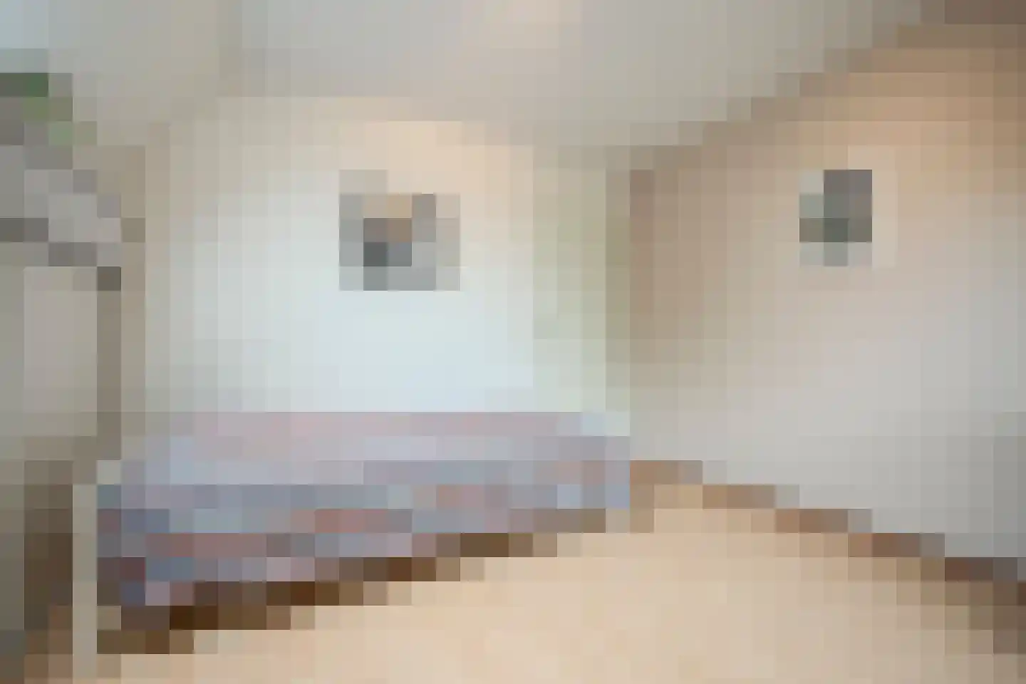 Willem Dreeslaan 101 Oosterhout thumbnail 27
