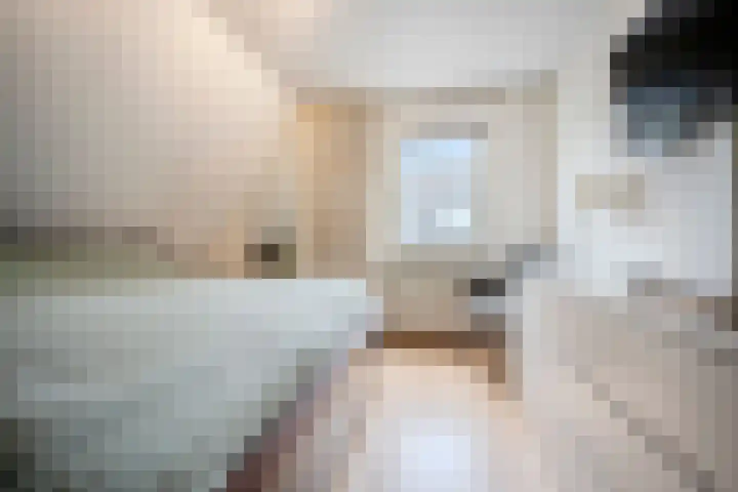 Willem Dreeslaan 101 Oosterhout thumbnail 30