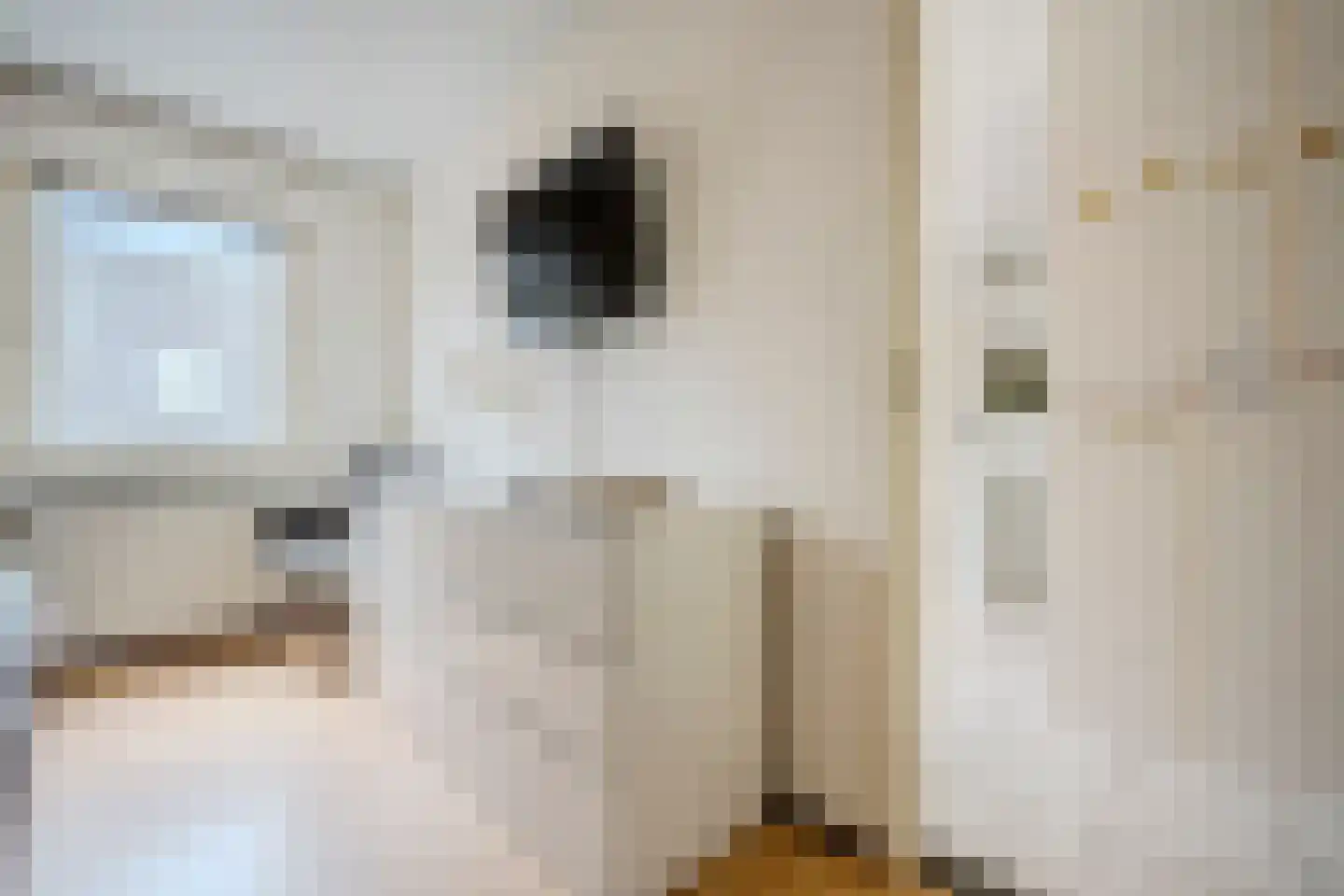 Willem Dreeslaan 101 Oosterhout thumbnail 32