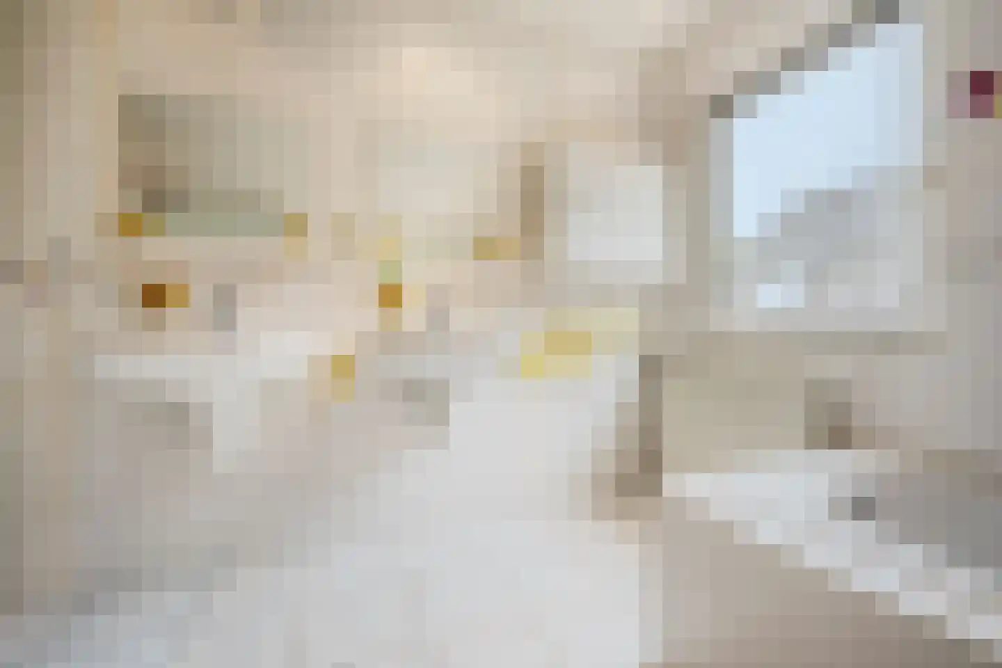 Willem Dreeslaan 101 Oosterhout thumbnail 34