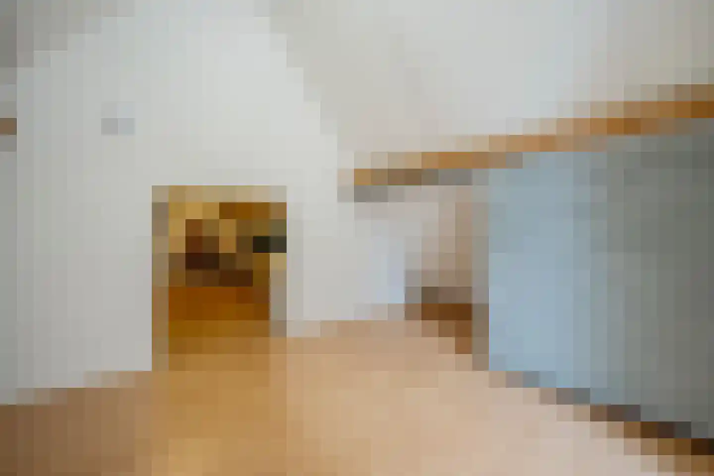 Willem Dreeslaan 101 Oosterhout thumbnail 40