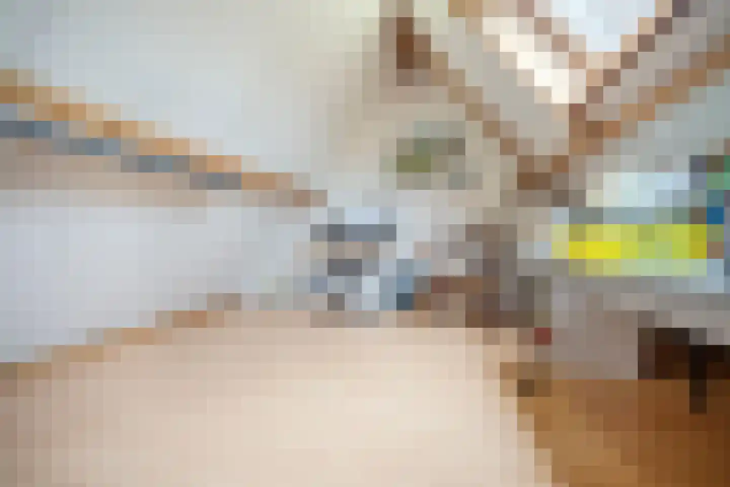 Willem Dreeslaan 101 Oosterhout thumbnail 42