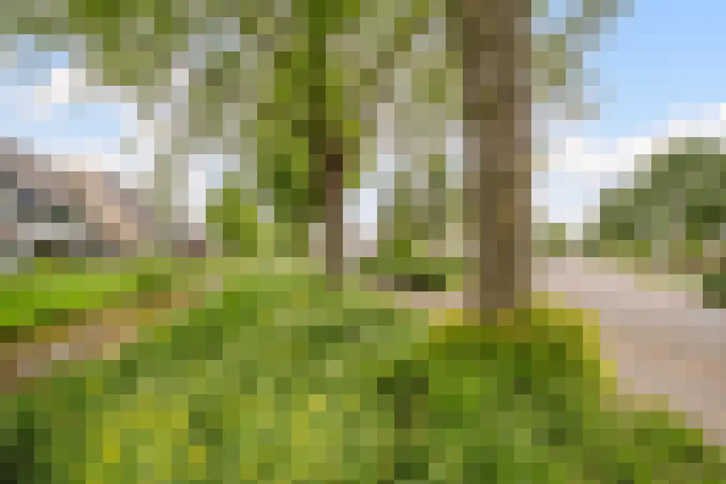 Willem Dreeslaan 101 Oosterhout thumbnail 66