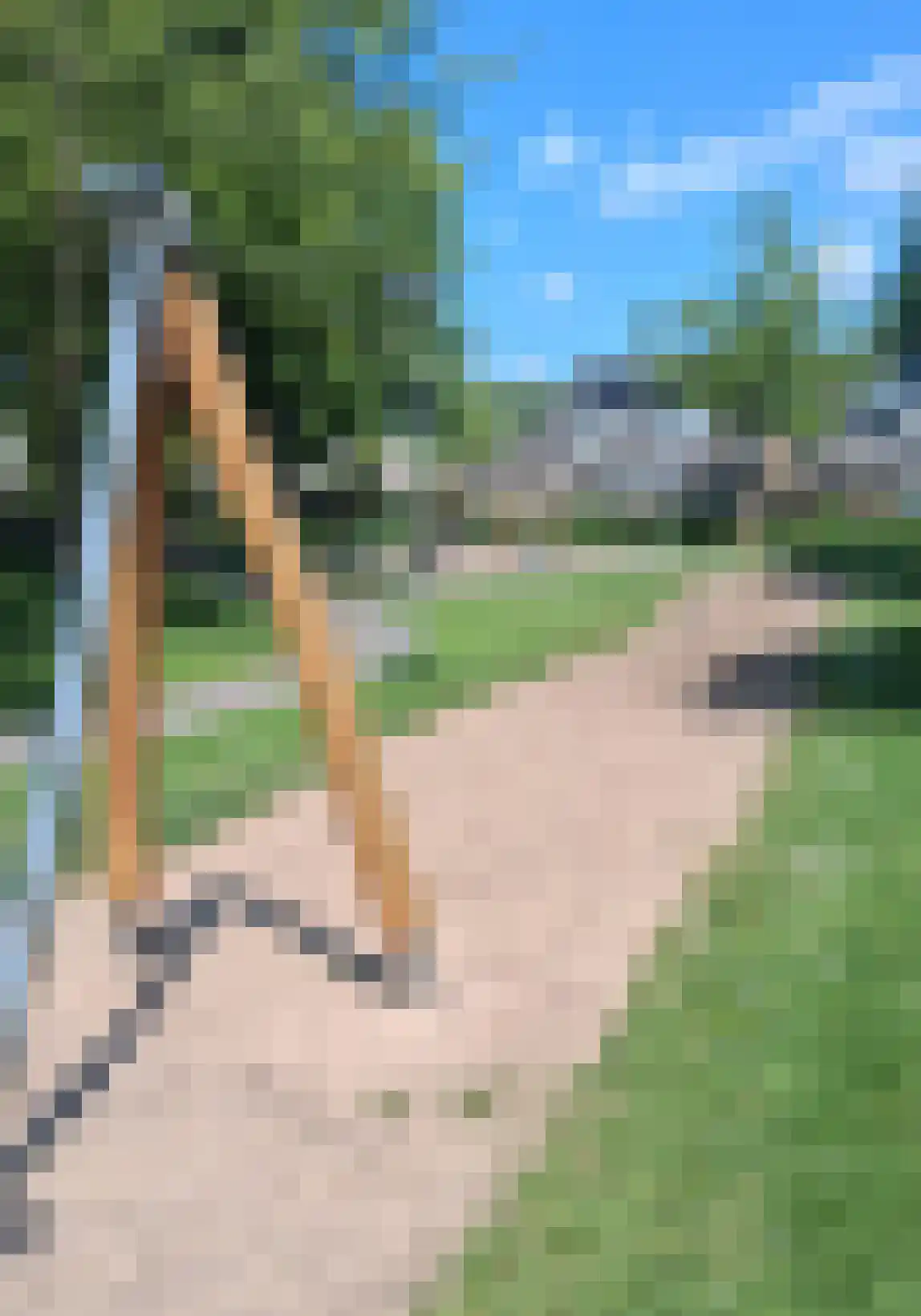 Willem Dreeslaan 101 Oosterhout thumbnail 68