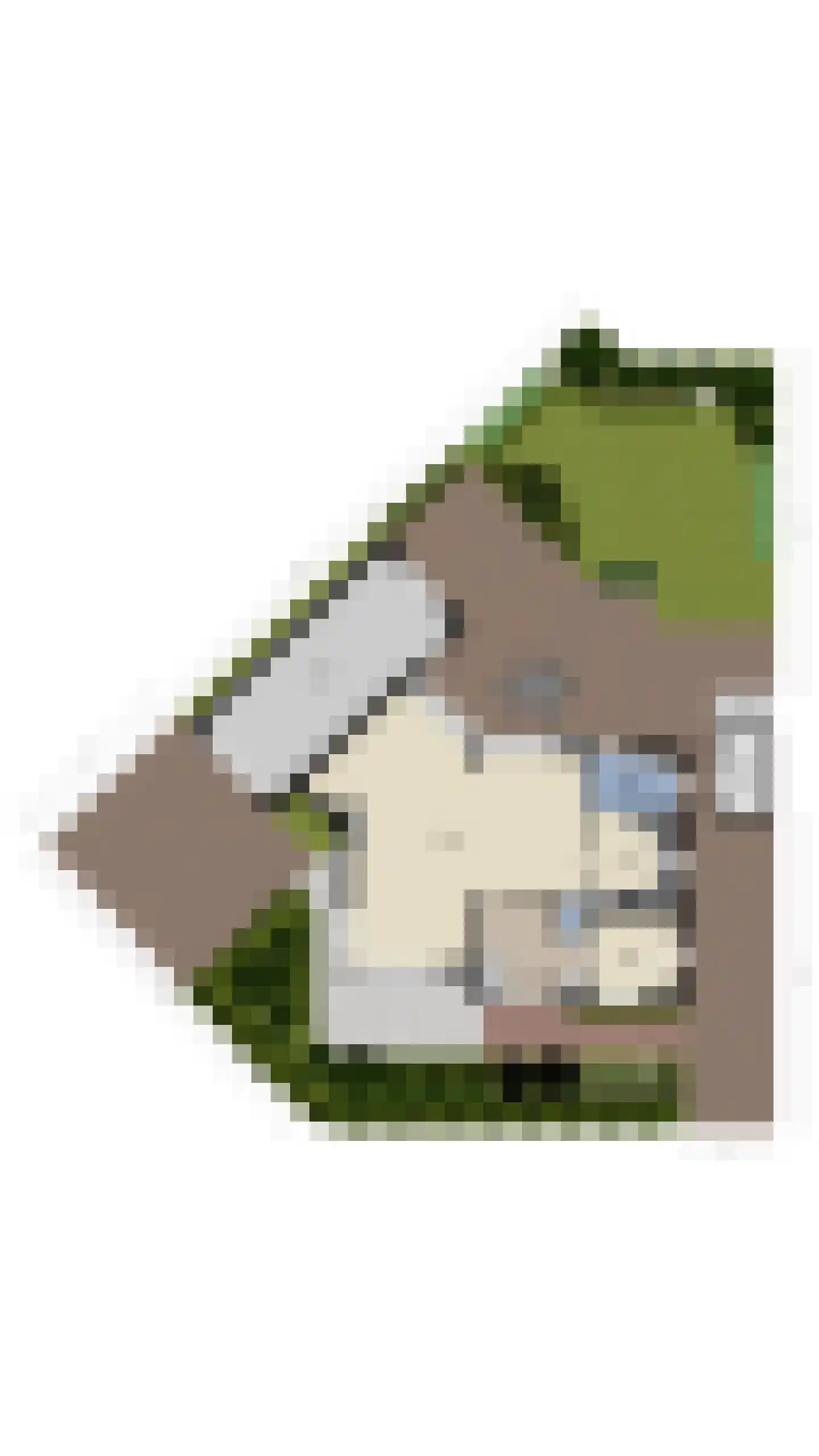 Willem Dreeslaan 101 Oosterhout thumbnail 69