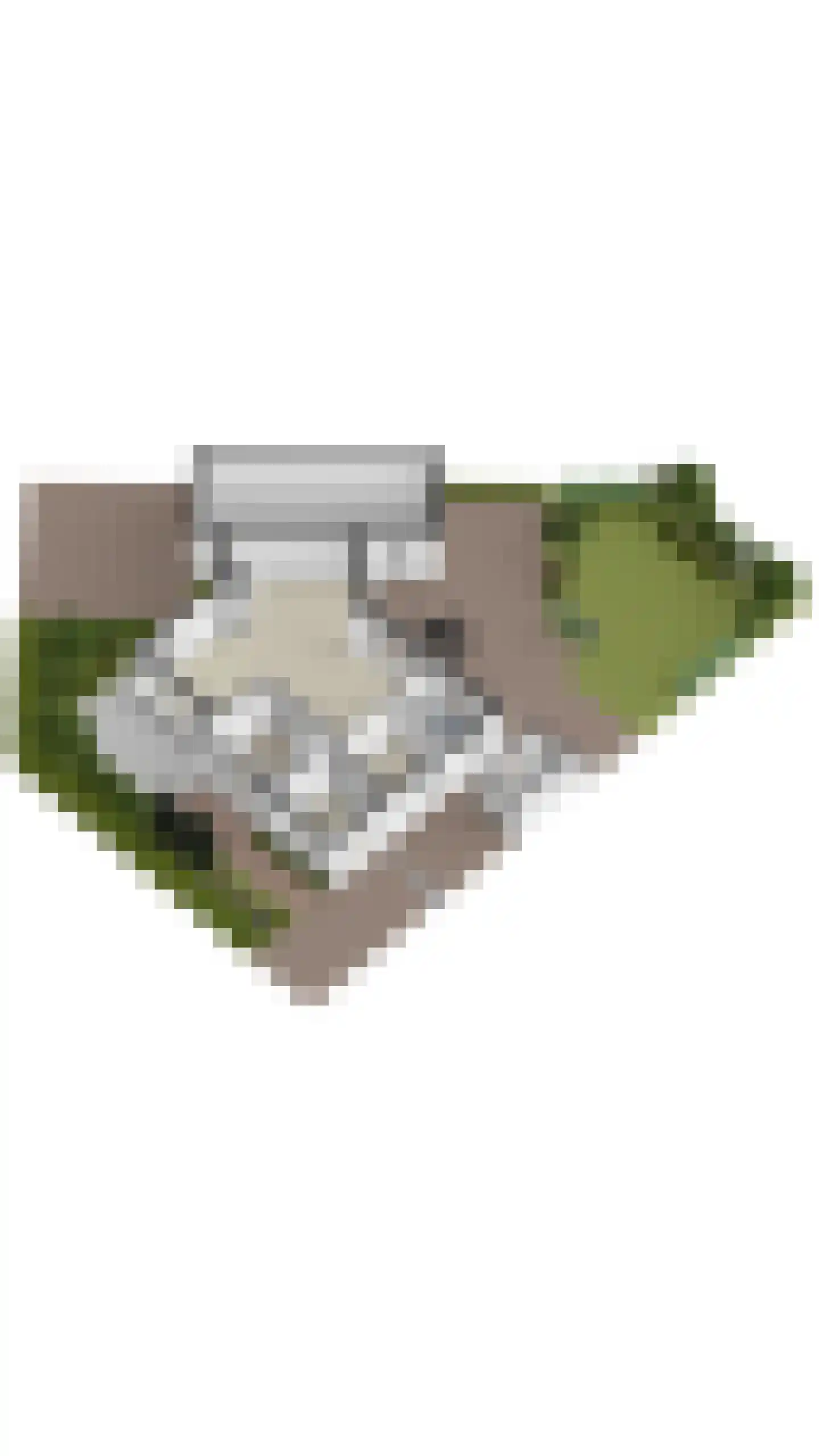 Willem Dreeslaan 101 Oosterhout thumbnail 74