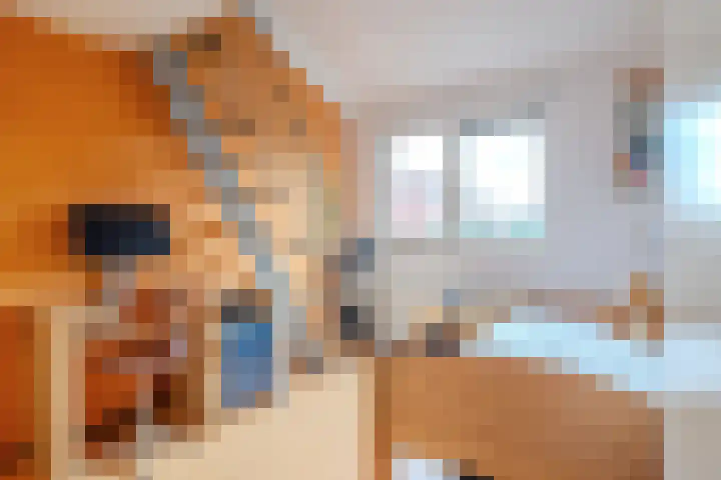 Willem Dreeslaan 107 Zaandijk thumbnail 17