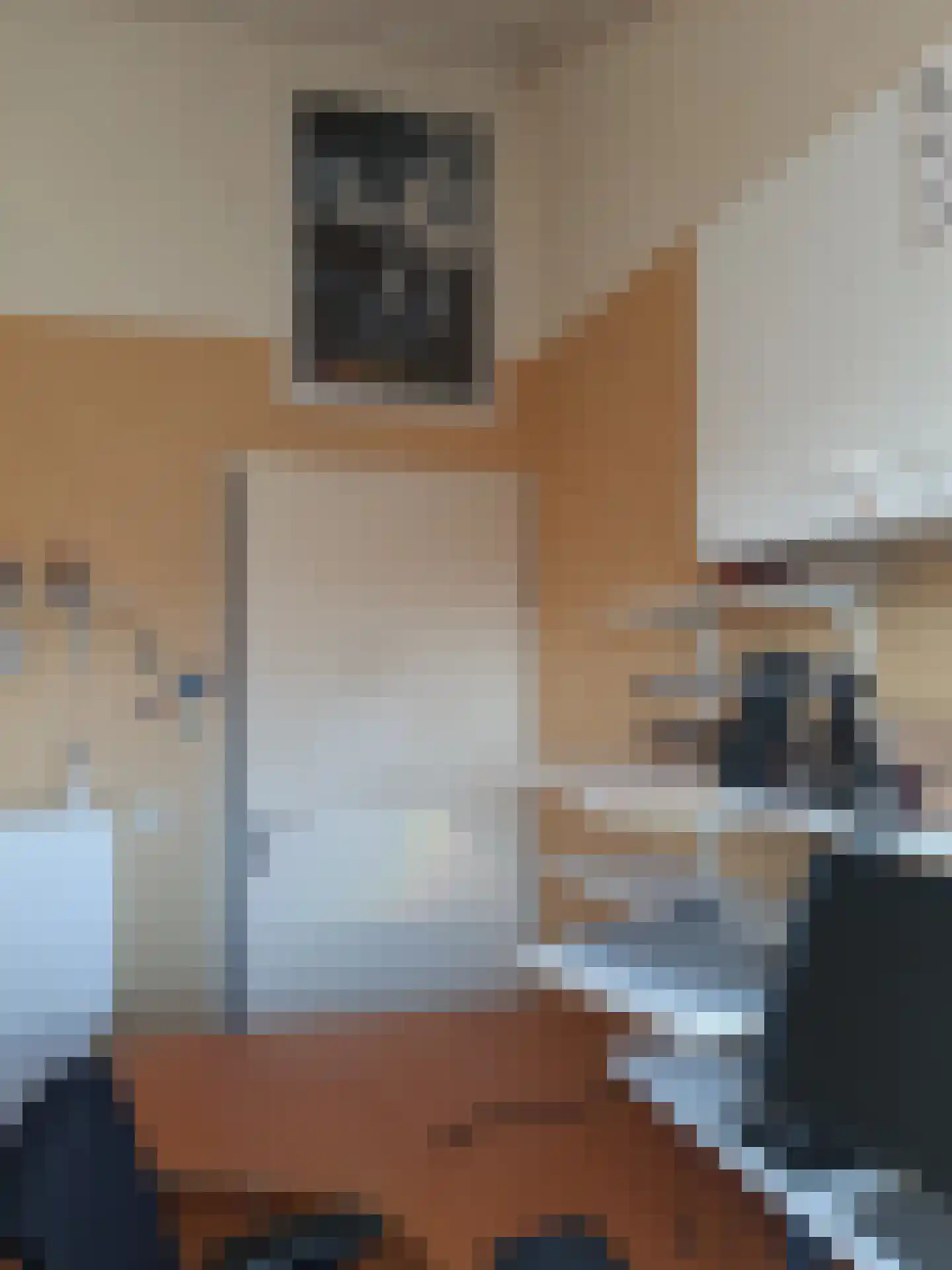 Willem Dreeslaan 107 Zaandijk thumbnail 20