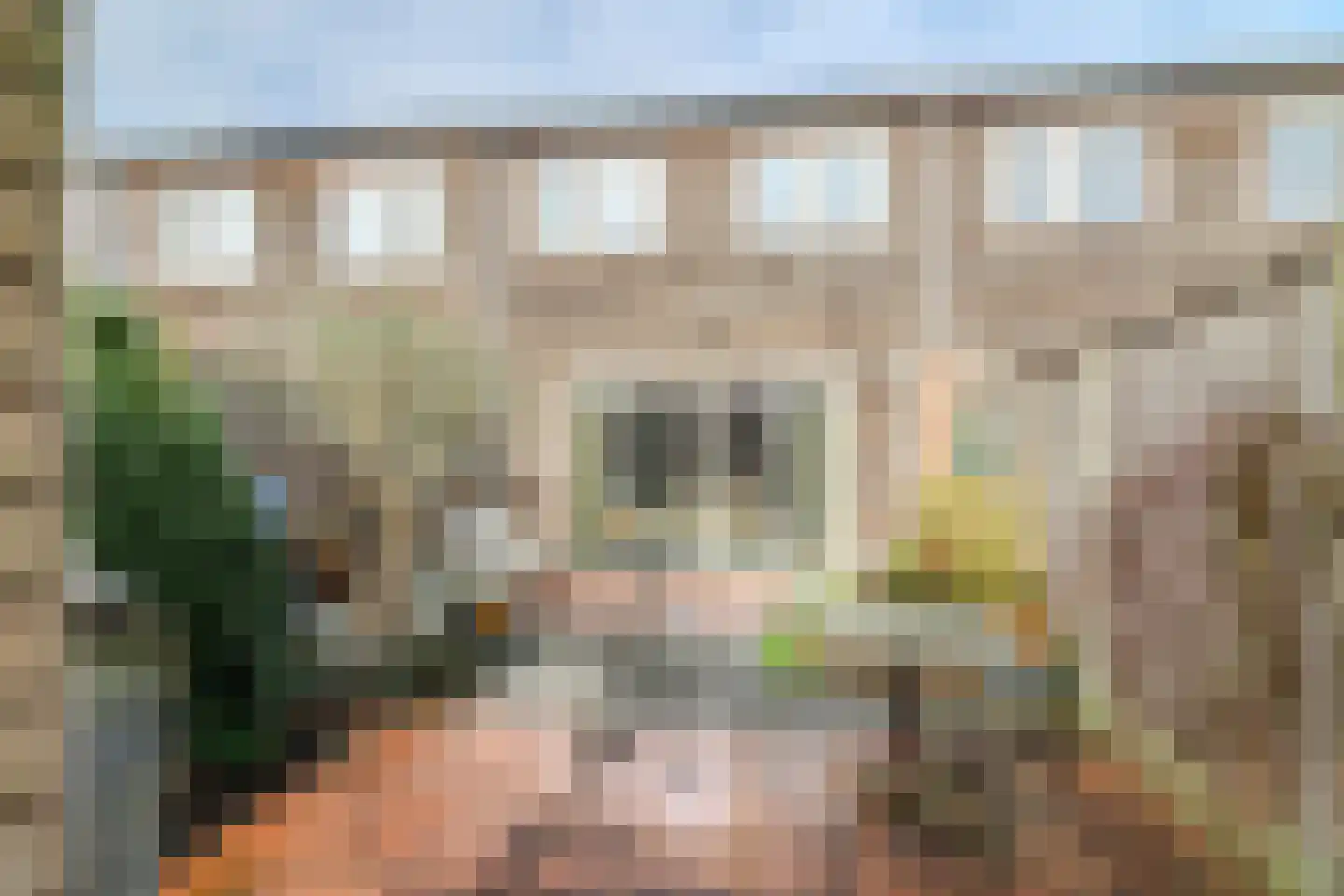 Willem Dreeslaan 107 Zaandijk thumbnail 27