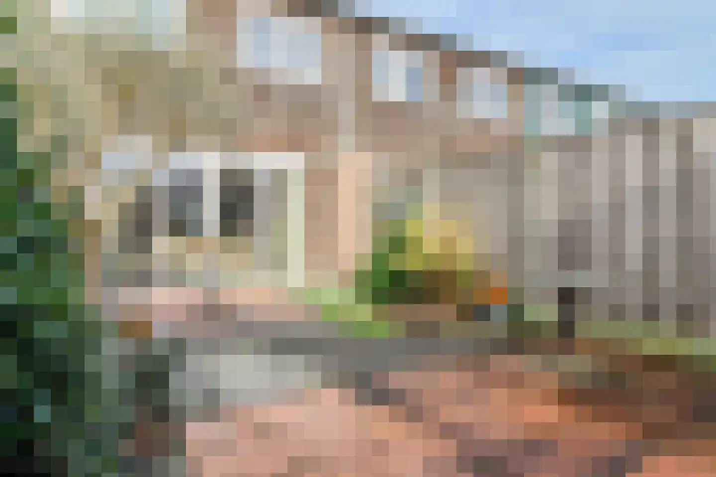 Willem Dreeslaan 107 Zaandijk thumbnail 28