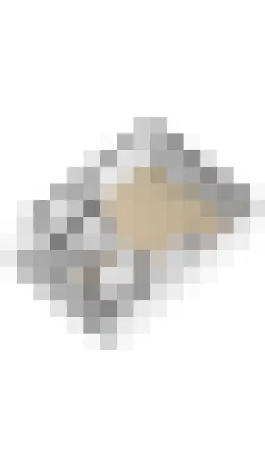 Willem Dreeslaan 107 Zaandijk thumbnail 40