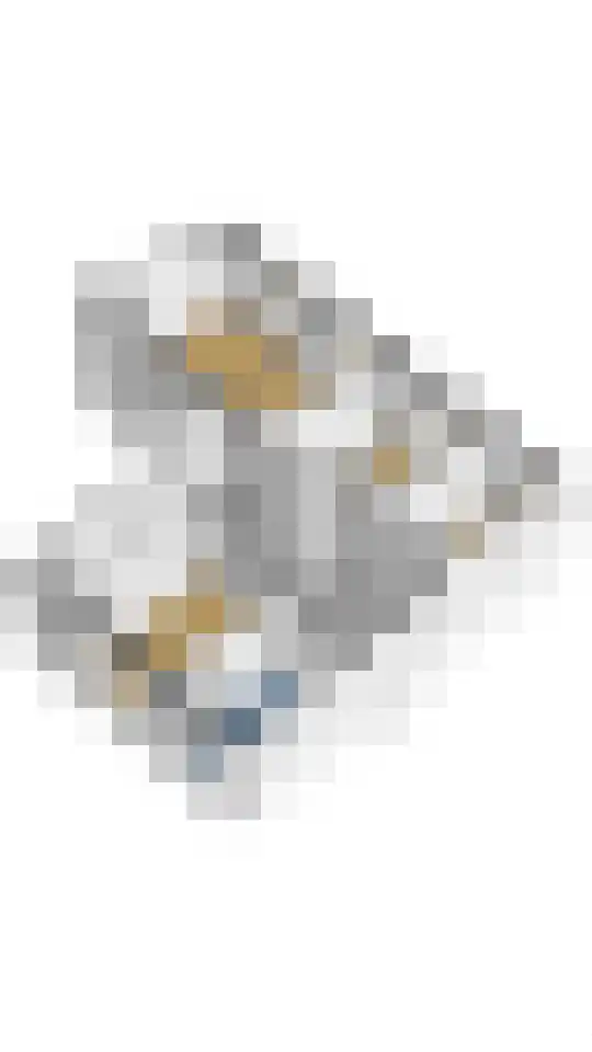 Willem Dreeslaan 107 Zaandijk thumbnail 42