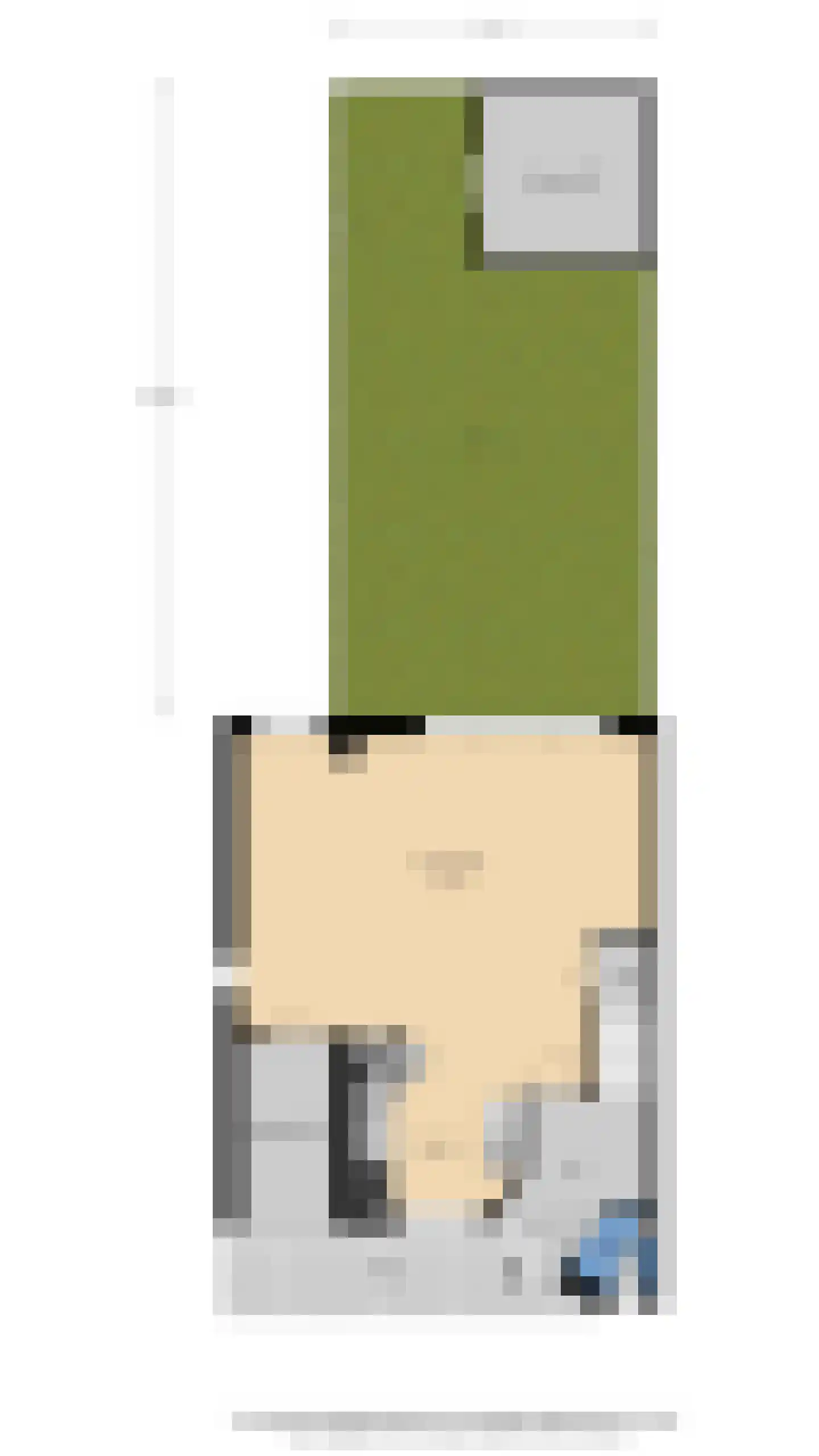 Willem Dreeslaan 107 Zaandijk thumbnail 43