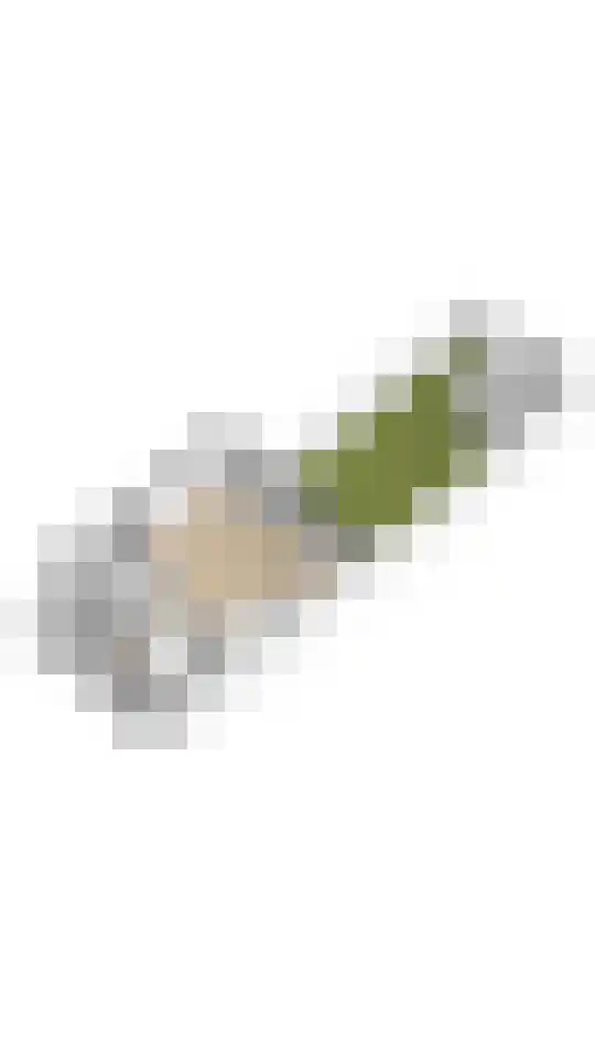 Willem Dreeslaan 107 Zaandijk thumbnail 45