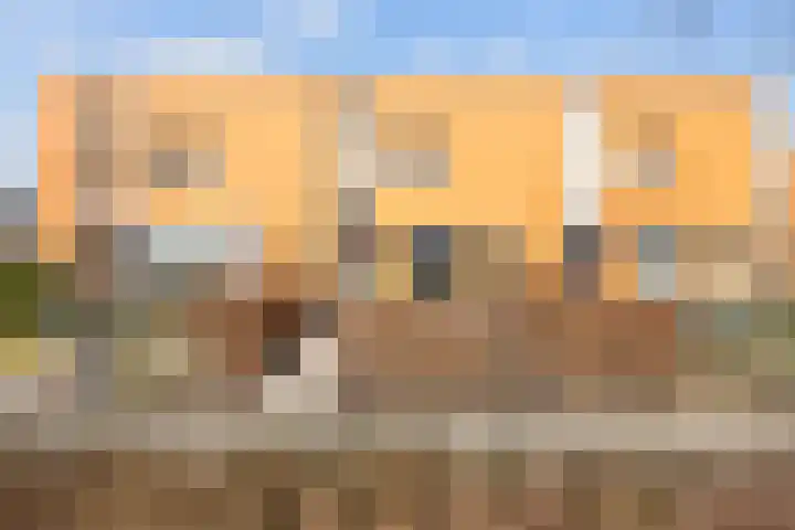 Willem Dreeslaan 14 in Marum