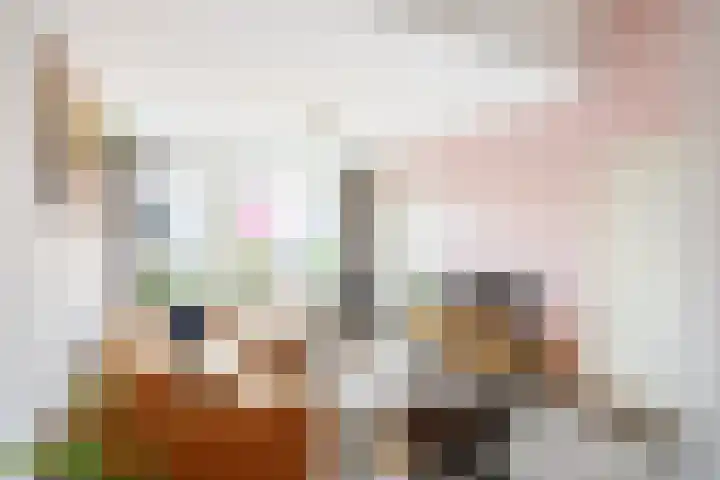 Willem Dreeslaan 14 Marum thumbnail 13
