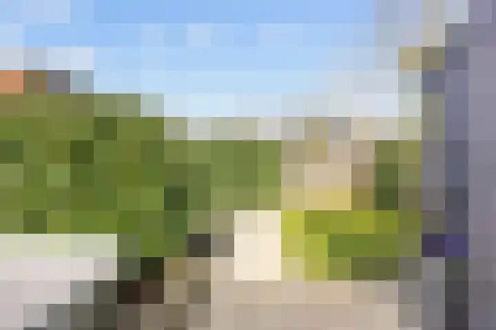 Willem Dreeslaan 14 Marum thumbnail 30