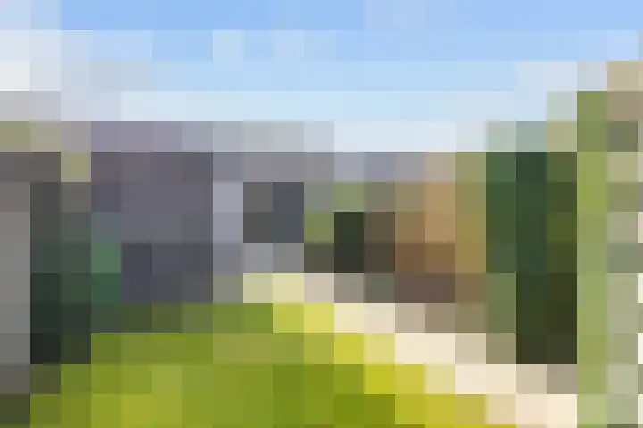 Willem Dreeslaan 14 Marum thumbnail 32