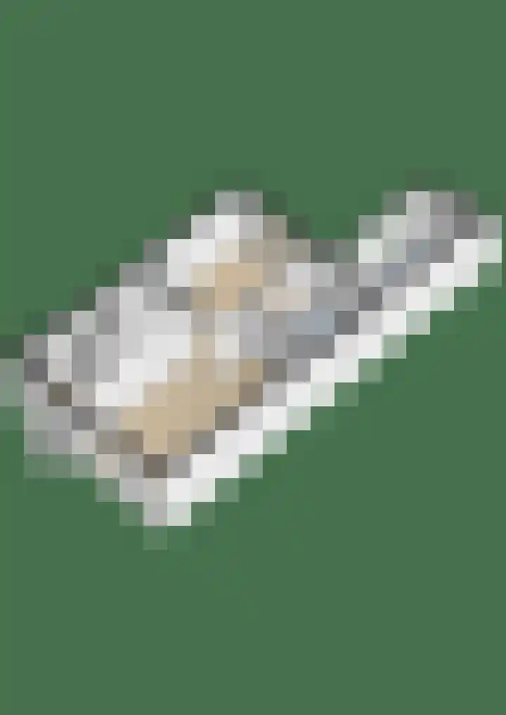 Willem Dreeslaan 14 Marum thumbnail 36
