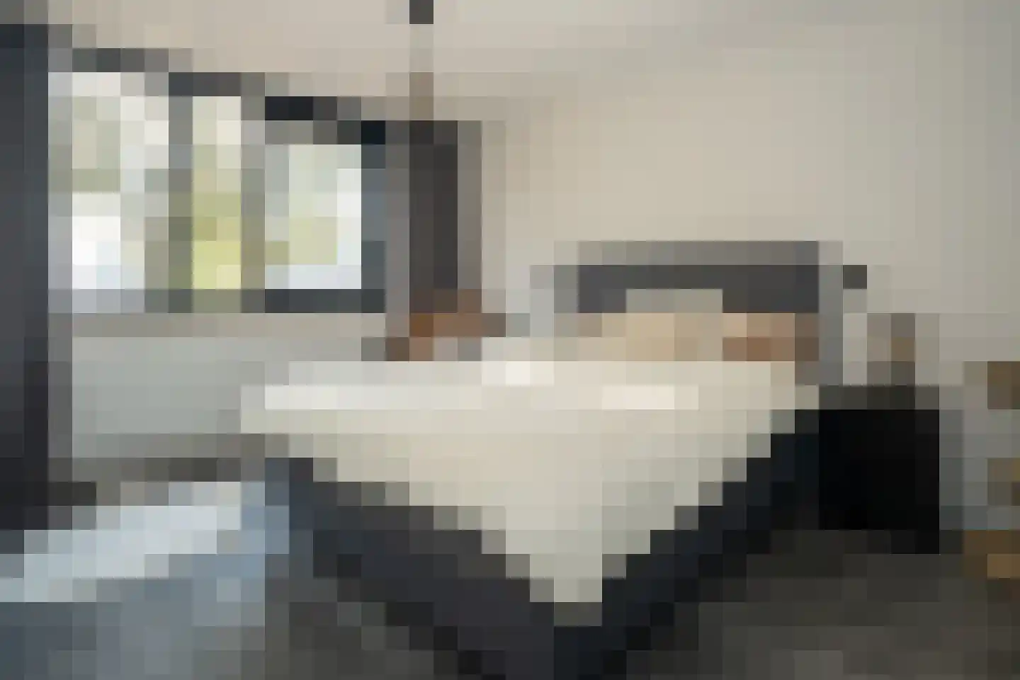 Willem Dreeslaan 2 Epe thumbnail 16