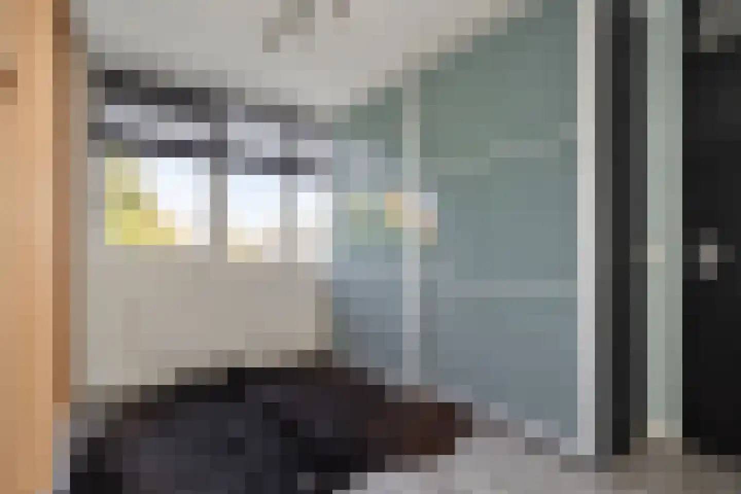 Willem Dreeslaan 2 Epe thumbnail 21