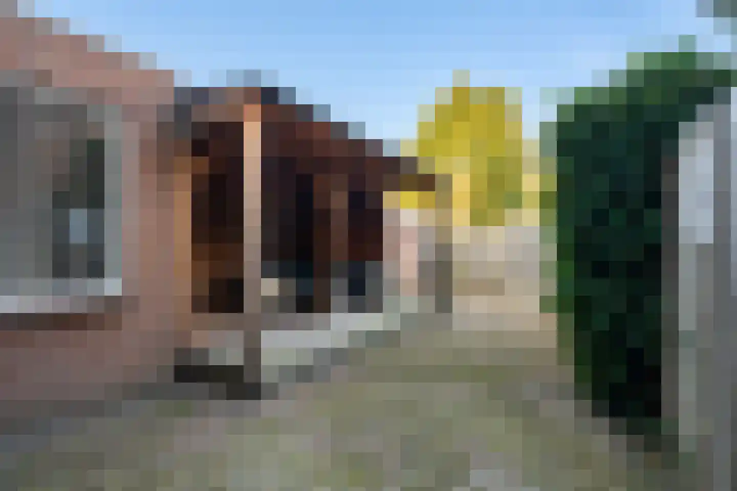 Willem Dreeslaan 2 Epe thumbnail 29