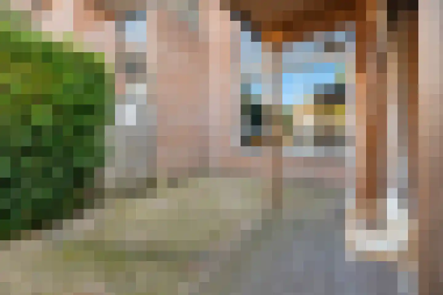 Willem Dreeslaan 2 Epe thumbnail 30
