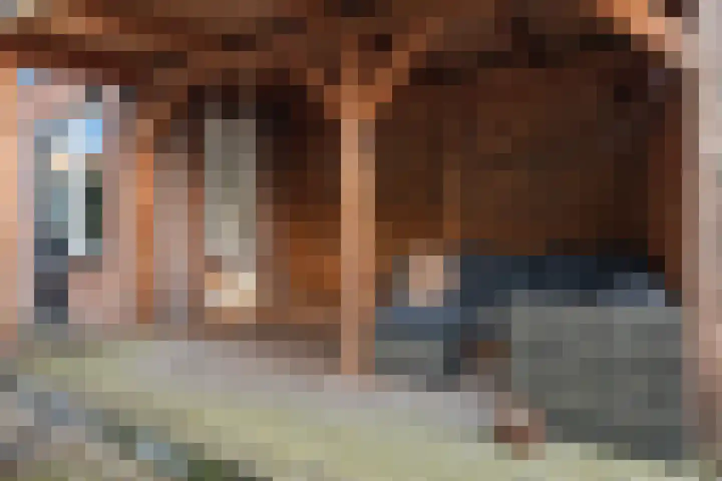 Willem Dreeslaan 2 Epe thumbnail 31