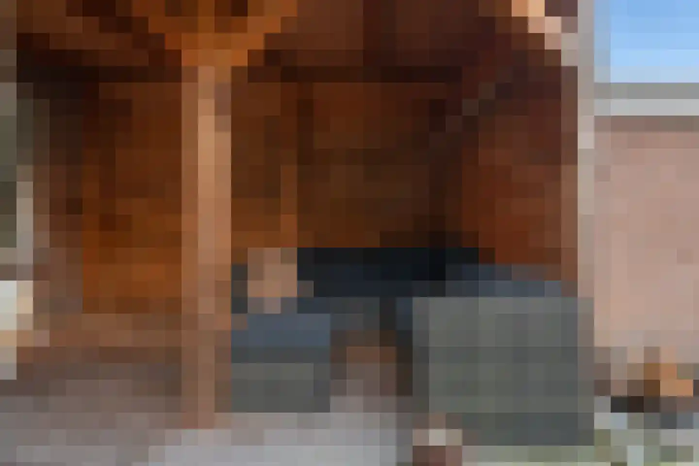Willem Dreeslaan 2 Epe thumbnail 32