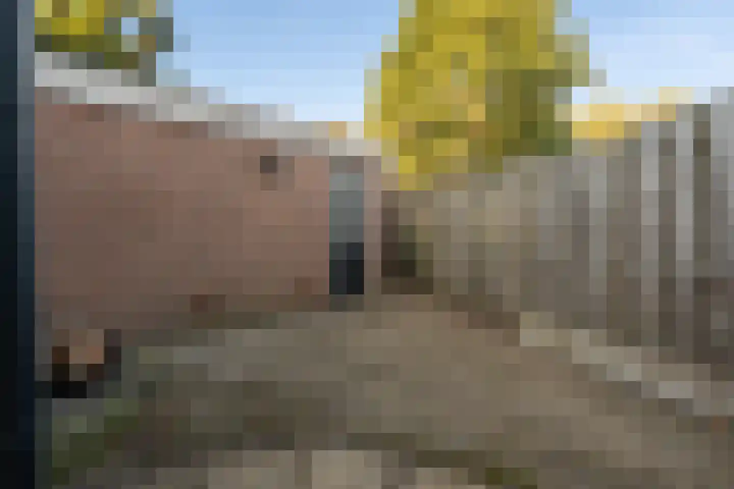 Willem Dreeslaan 2 Epe thumbnail 33