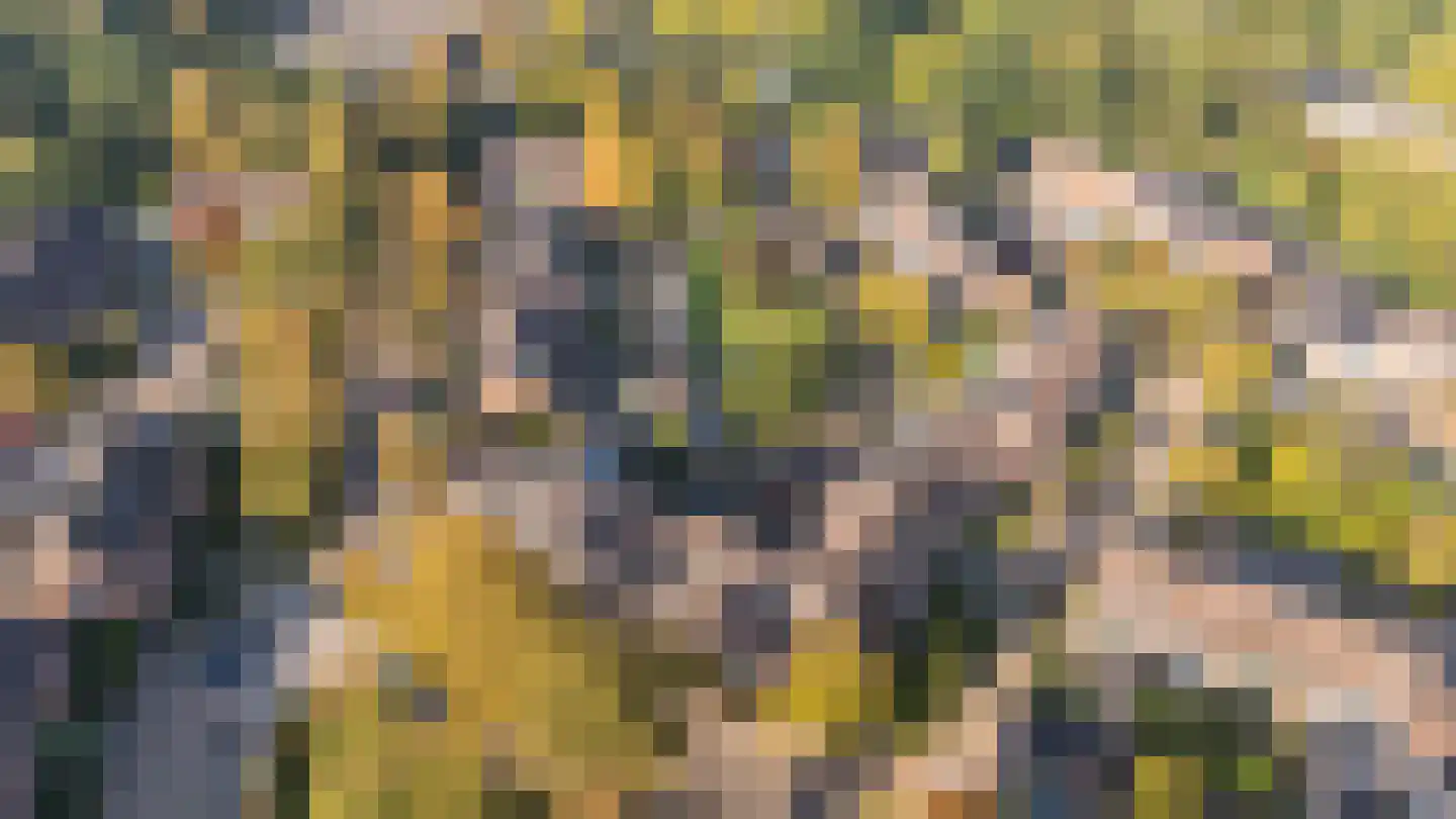 Willem Dreeslaan 2 Epe thumbnail 39