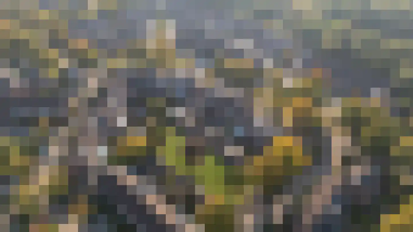Willem Dreeslaan 2 Epe thumbnail 40