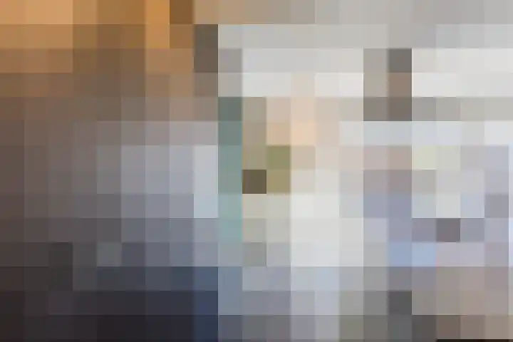 Willem Dreeslaan 24 Oosterhout thumbnail 11