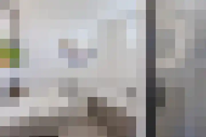 Willem Dreeslaan 24 Oosterhout thumbnail 21