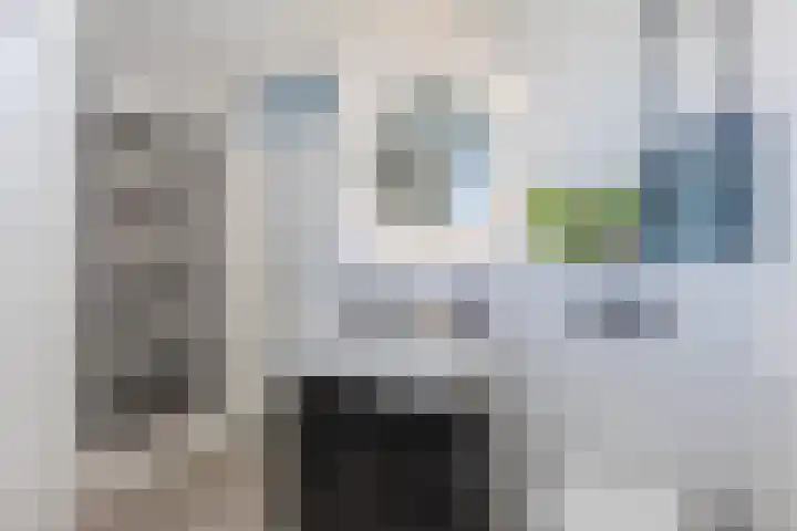 Willem Dreeslaan 24 Oosterhout thumbnail 22