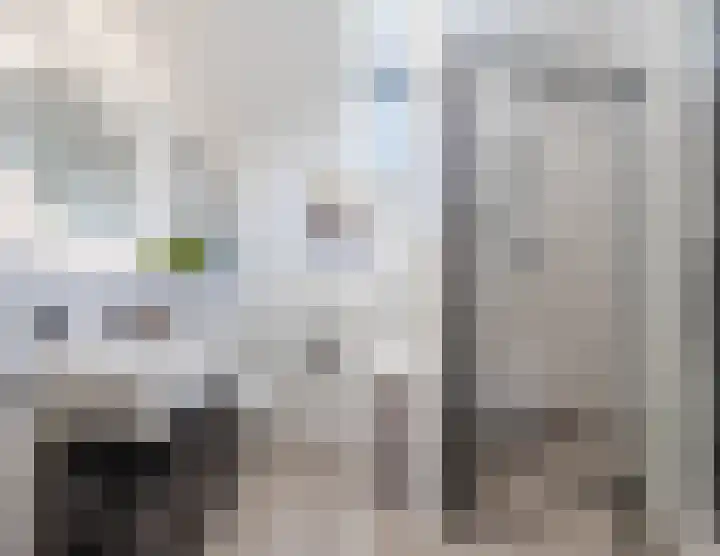 Willem Dreeslaan 24 Oosterhout thumbnail 23