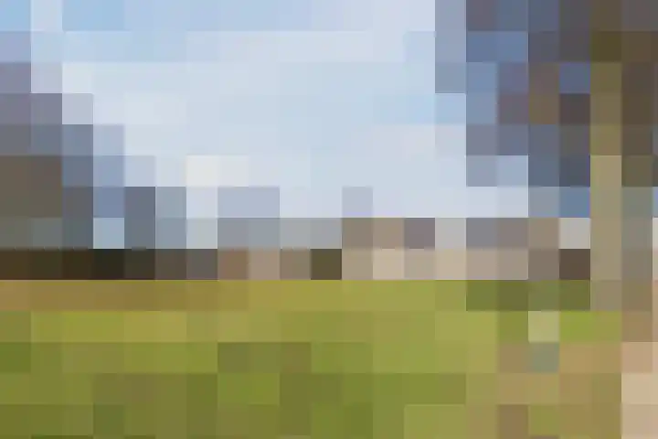 Willem Dreeslaan 24 Oosterhout thumbnail 35
