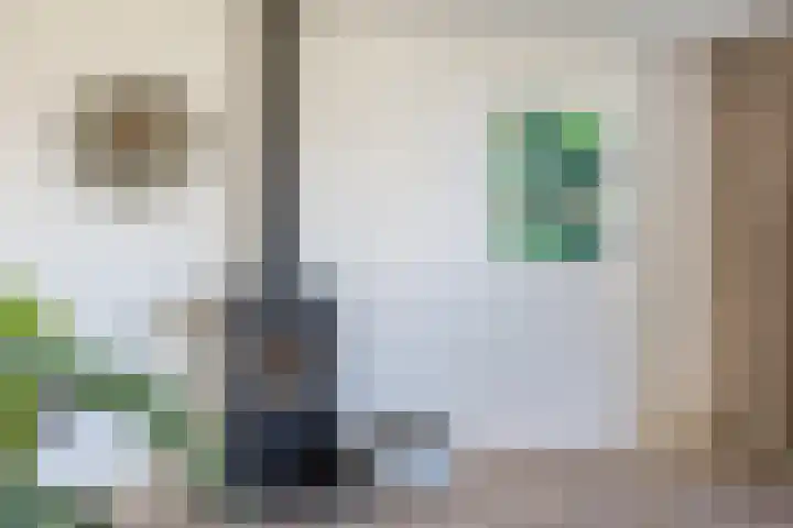 Willem Dreeslaan 24 Oosterhout thumbnail 5
