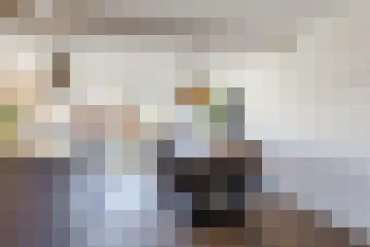 Willem Dreeslaan 24 Oosterhout thumbnail 7