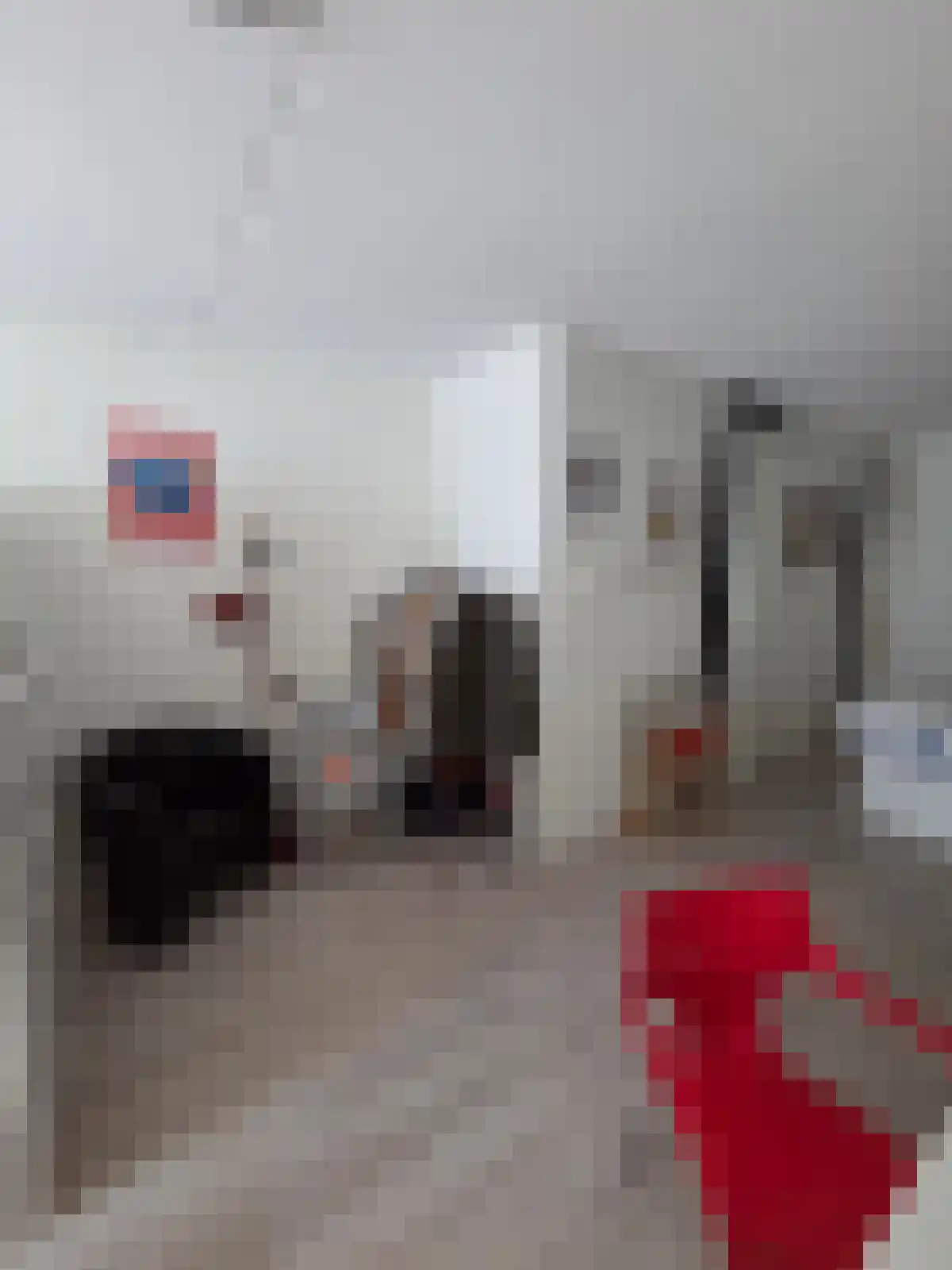 Willem Dreeslaan 26 Utrecht thumbnail 6